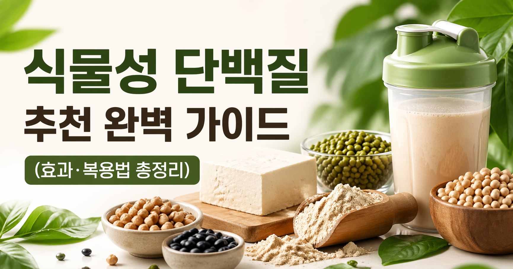 식물성 단백질