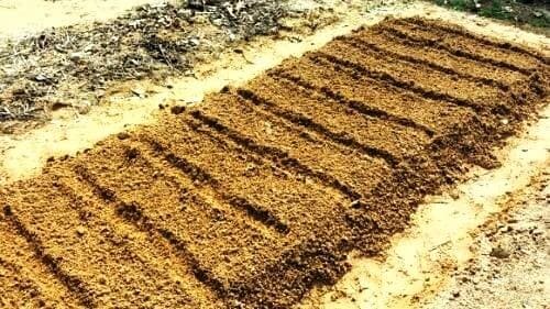 알타리-총각무-씨앗-파종방법