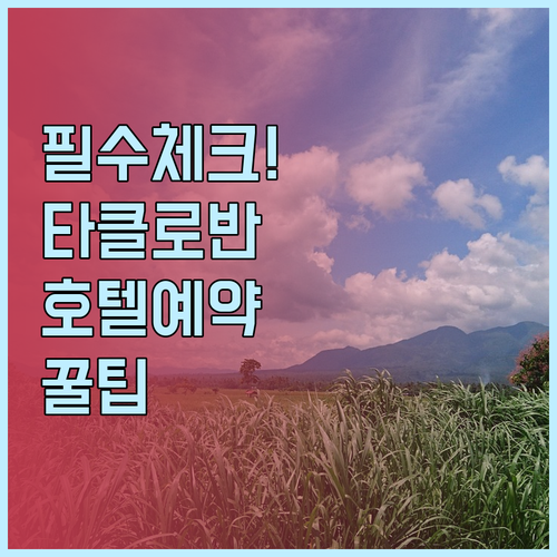 타클로반 호텔 예약 전 필수 체크사항