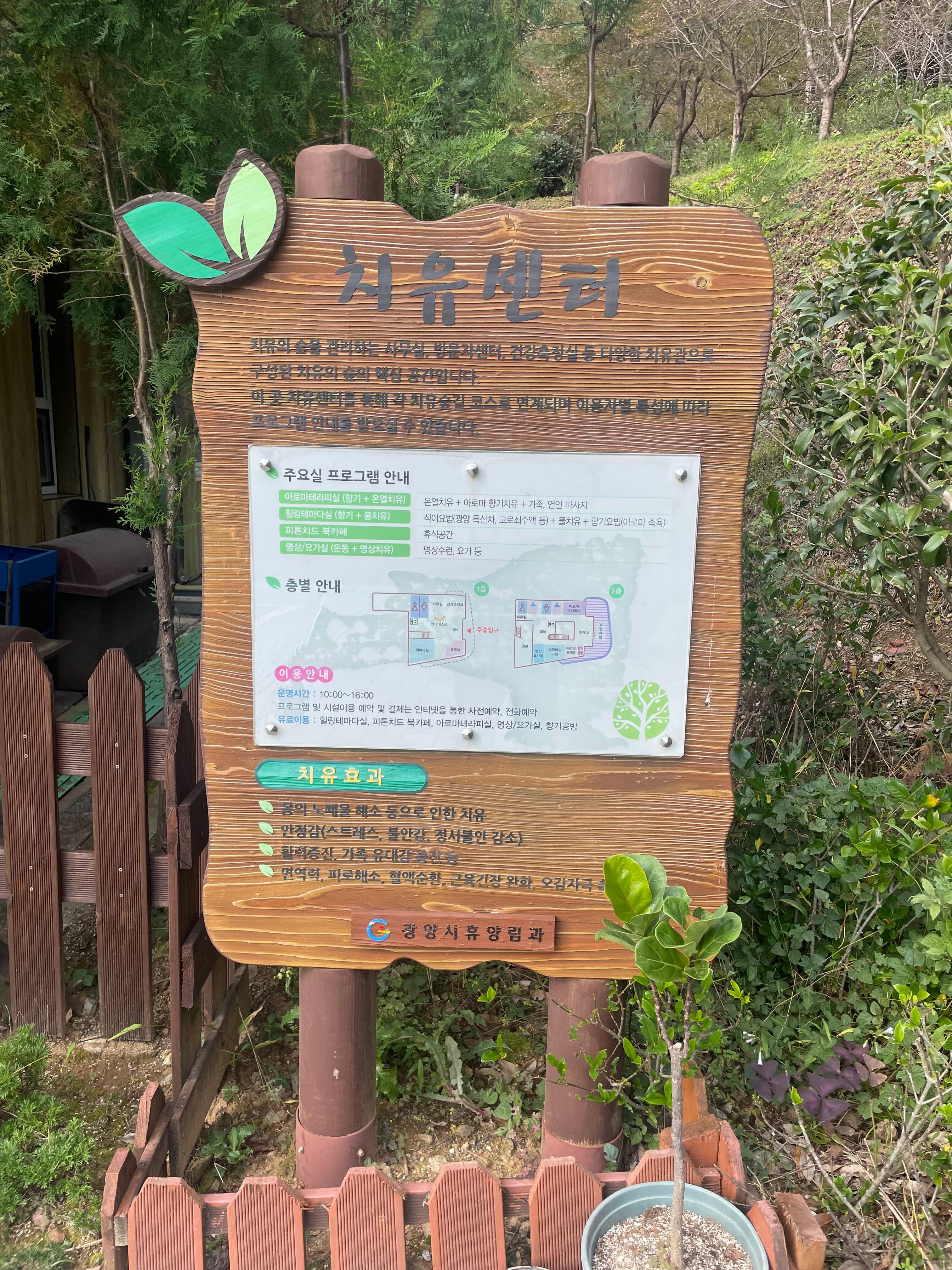 백운산 치유의 숲 추천! 힐링과 체험 예약 방법 정리