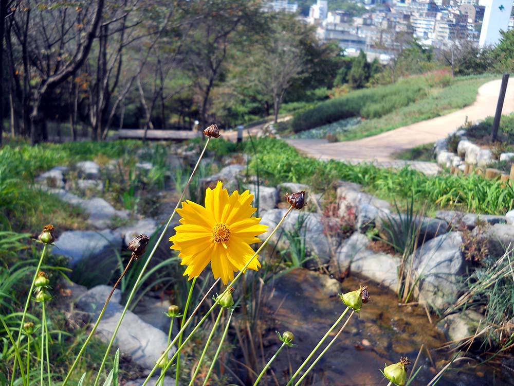 독수리 5형제가 가 본 안산(Ansan)