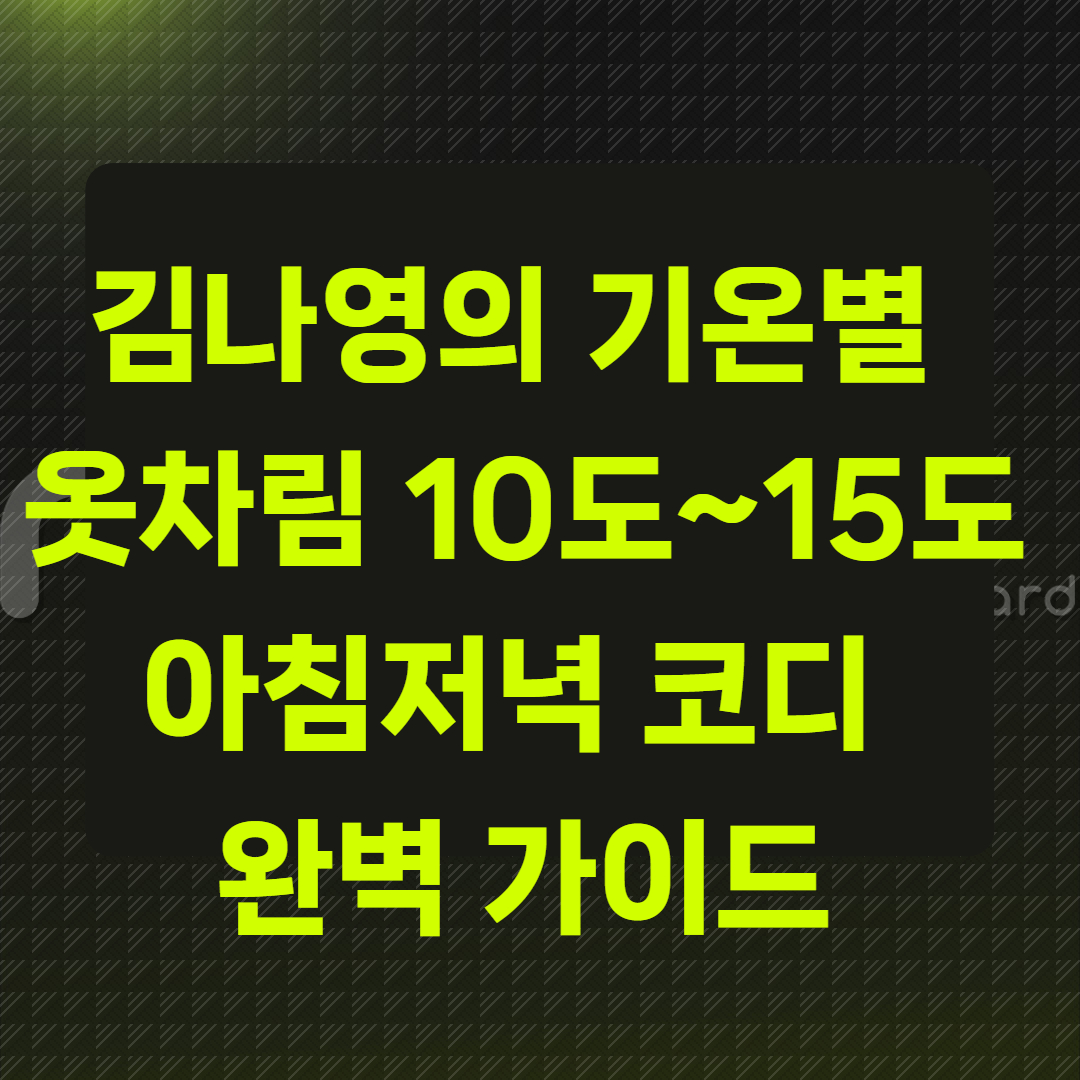 김나영의 기온별 옷차림