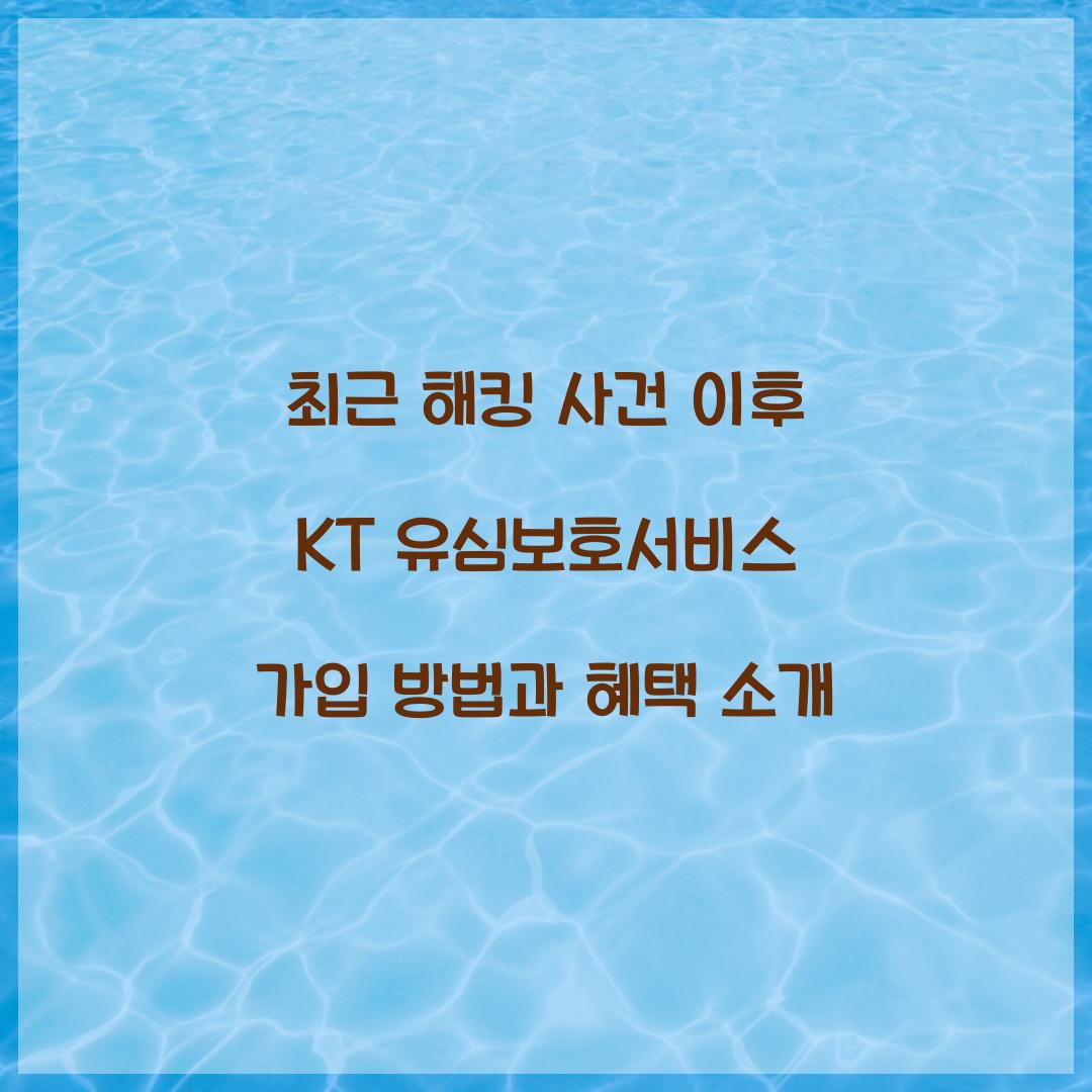 최근 해킹 사건 이후 KT 유심보호서비스 가입 폭주
