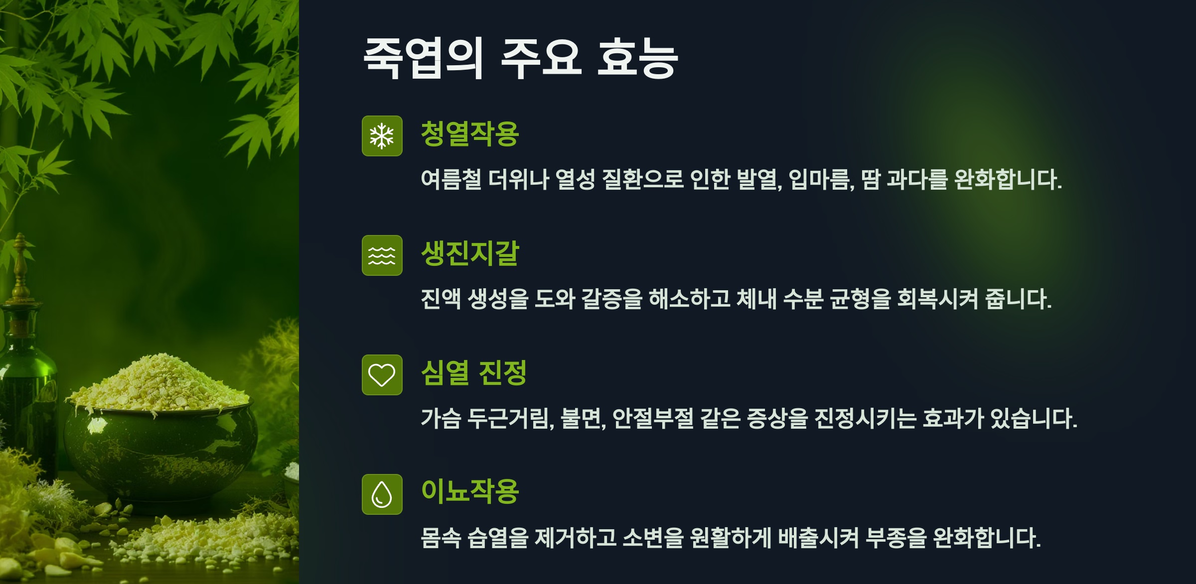 죽엽의 효능