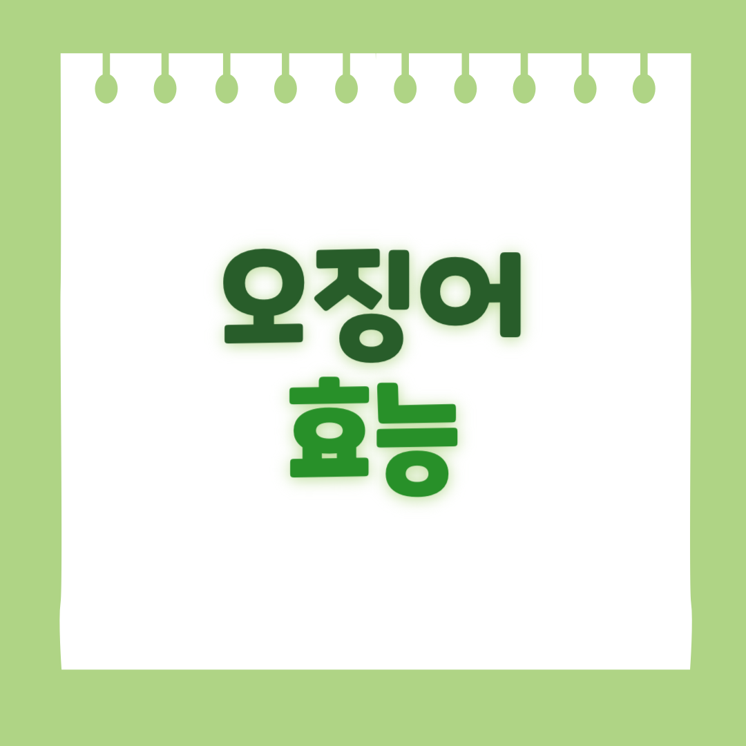 오징어의 효능