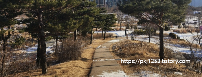 Alt 속성 문제 해결 설명 이미지