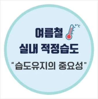 실내 습도 낮추기 젖은 수건 실내 여름철 겨울철 최적 습도_9