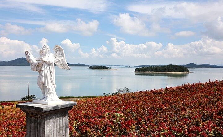 신안 섬 맨드라미 축제 일정