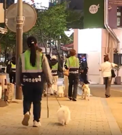 서울 반려견 순찰대