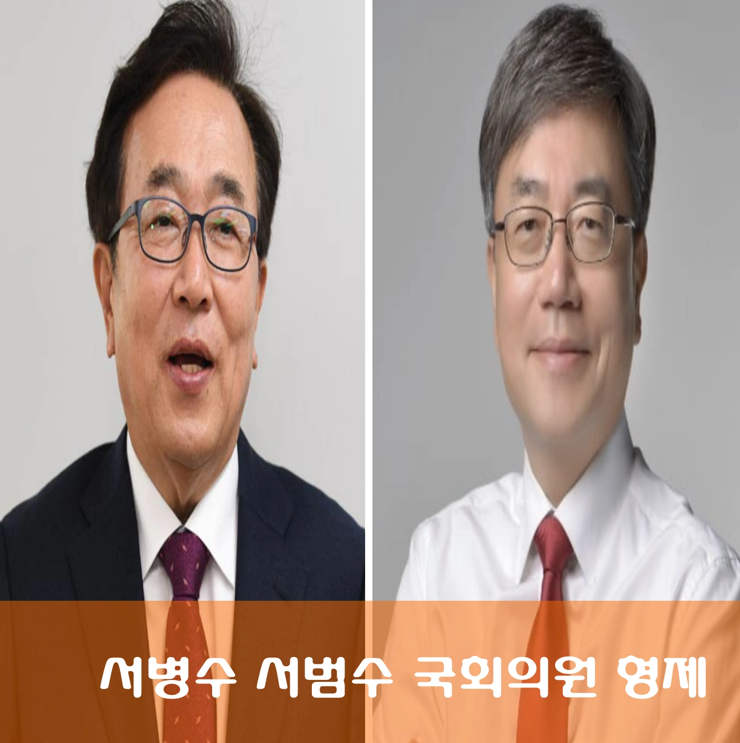 서병수 동생 서범수 국회의원 