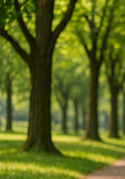 간에 좋은 음식 10