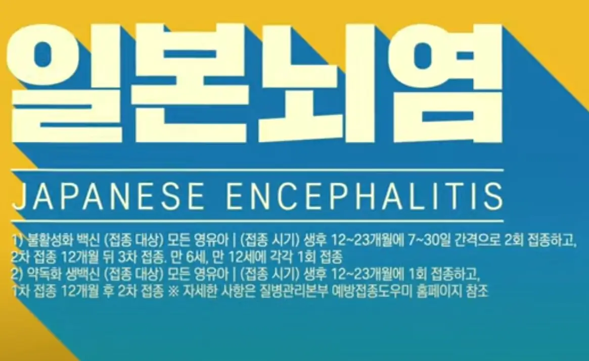 일본뇌염의 위험과 예방 조치