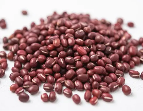 아주-많은-팥-흰색-배경