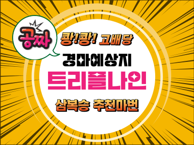 고배당 삼복승 추천마번 무료예상지 트리플나인