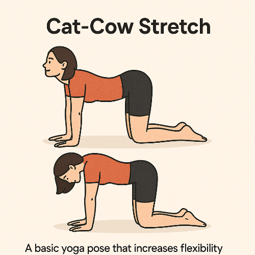 허리디스크에 좋은 운동ㅣ금지 운동ㅣ증상