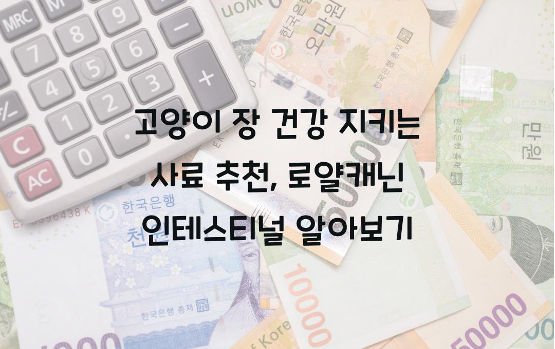 고양이 장 건강 지키는 사료 추천