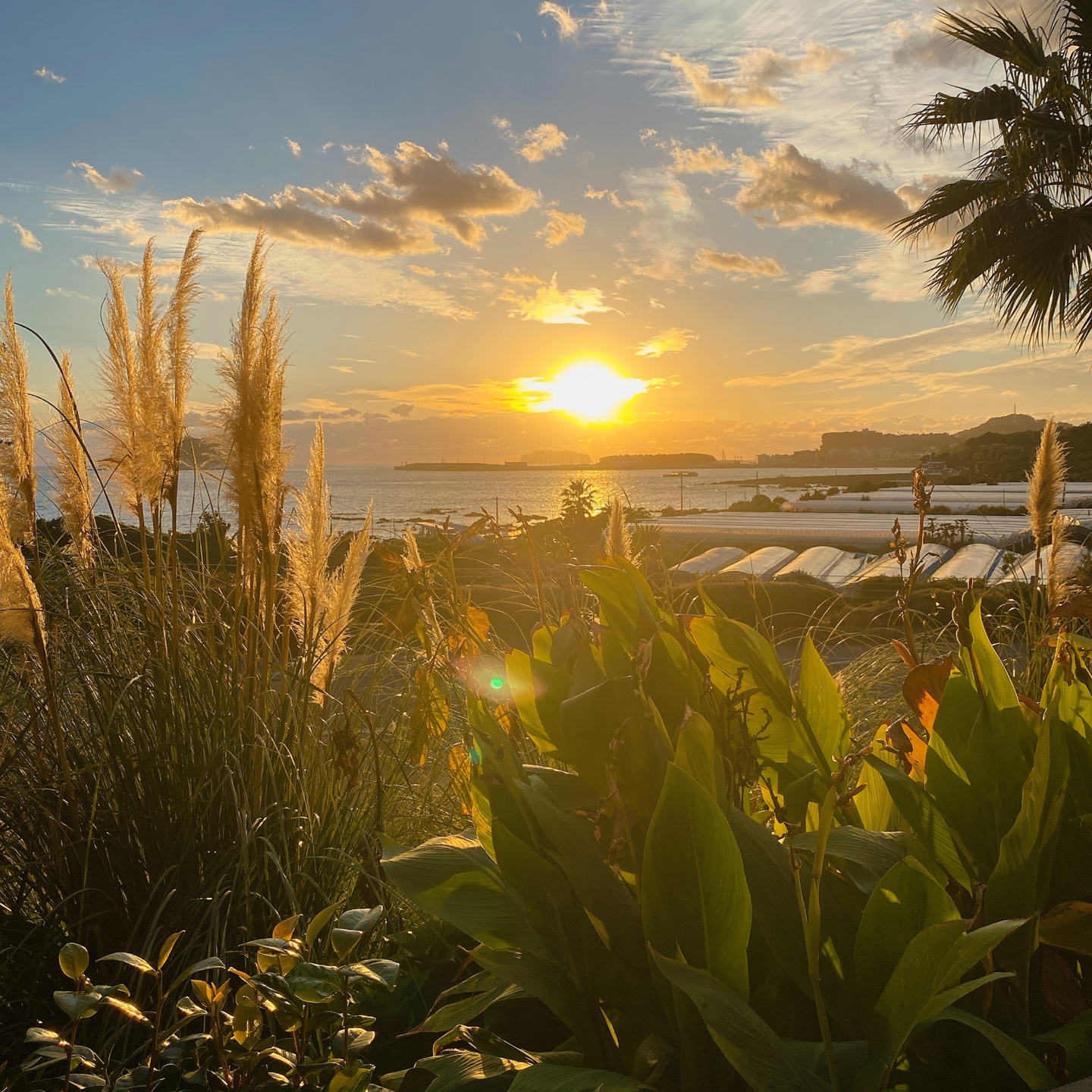 제주 쇠소깍 오션뷰 노을 맛집 보래드베이커스