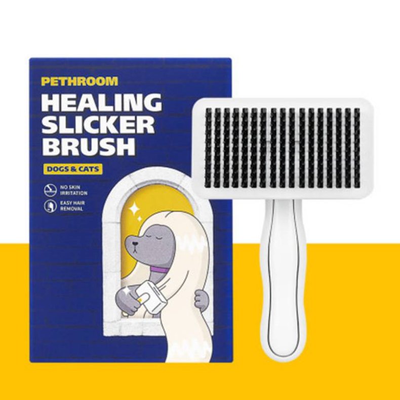 반려인능력시험