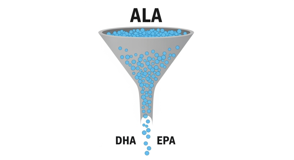 식물성 오메가3 부작용