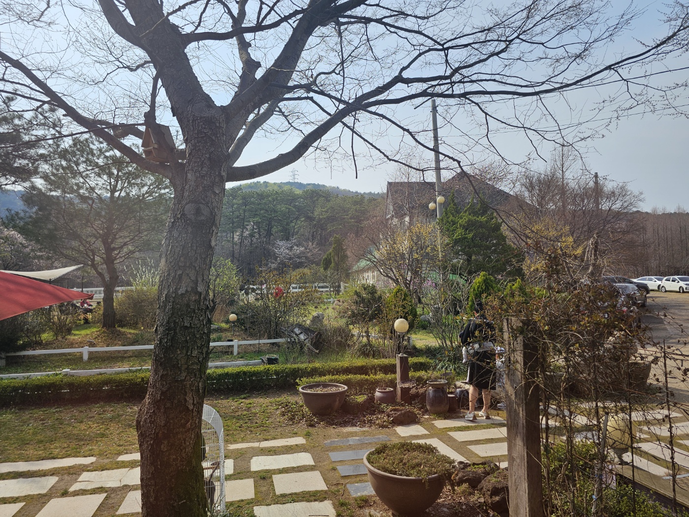 ※ 그 외 (앵무새/올챙이)