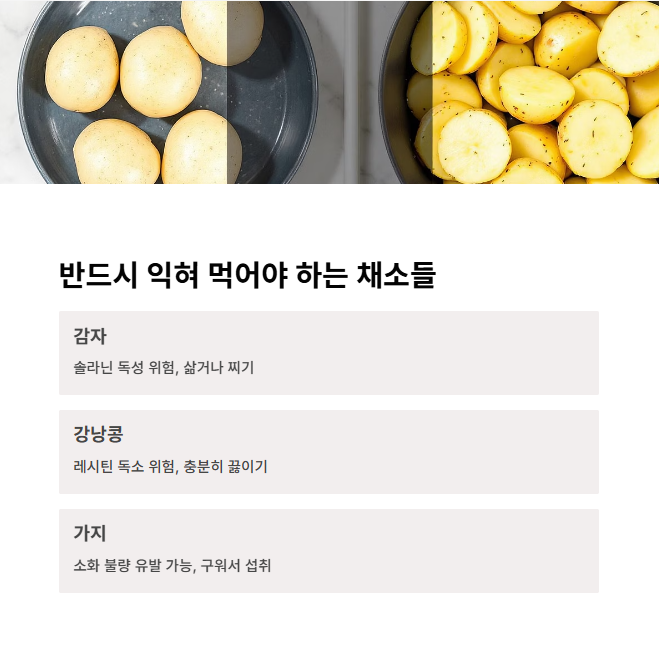 반드시 익혀 먹어야 하는 채소 리스트