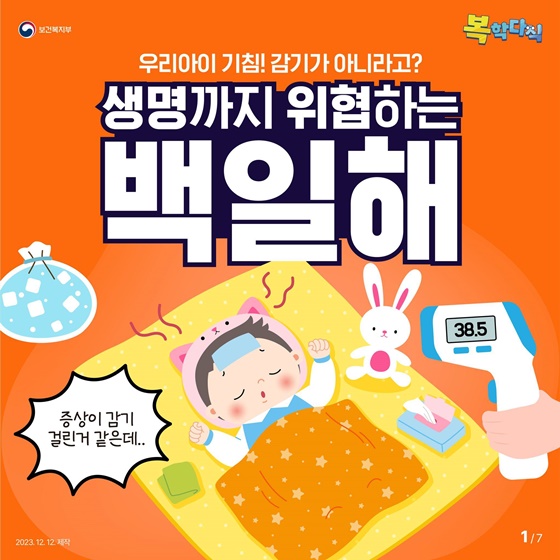백일해4