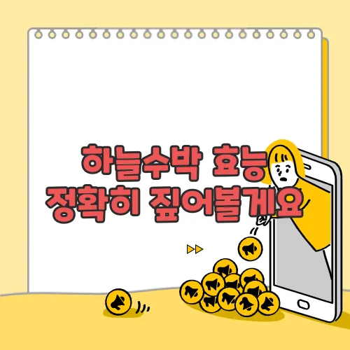 하늘수박 효능 정확히 짚어볼게요