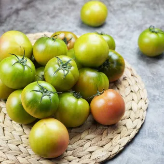 대저토마토 효능 부작용_11