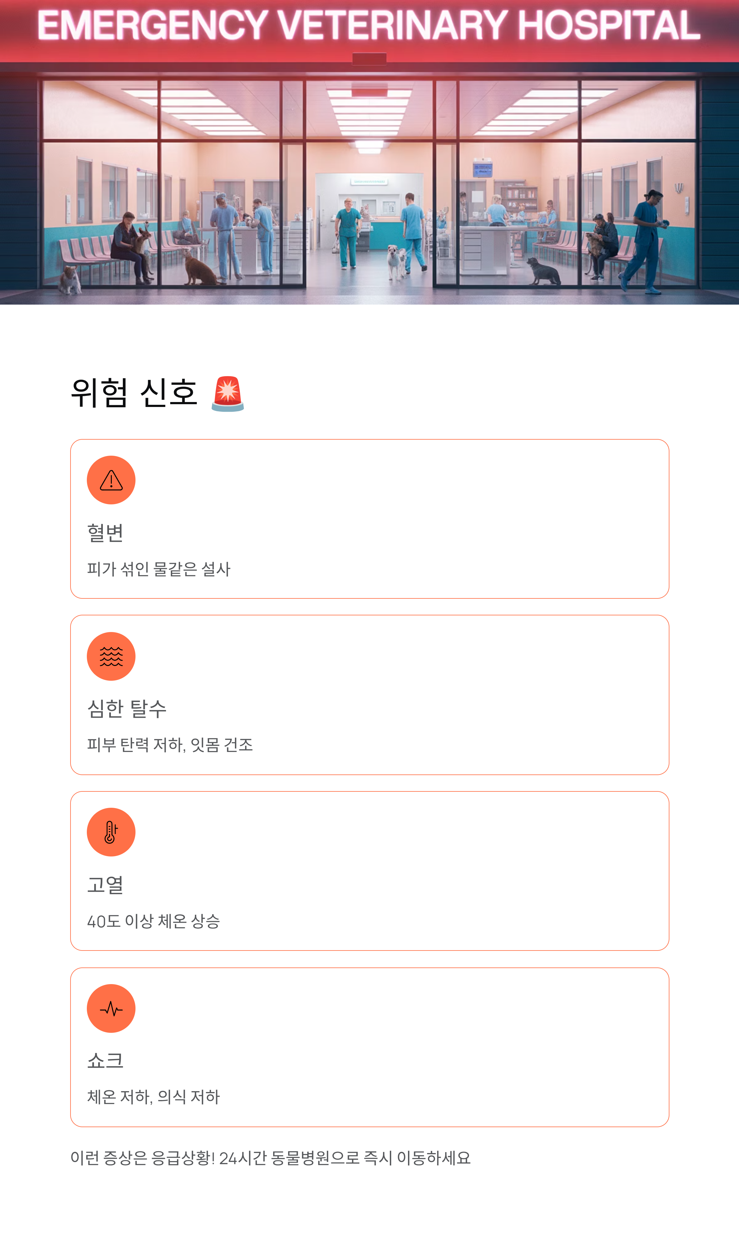 강아지 파보 🚨 증상·치료·예방접종 완벽 가이드!