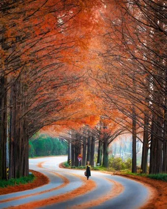 담양 맛집 베스트10 진짜 현지인만 아는곳_19