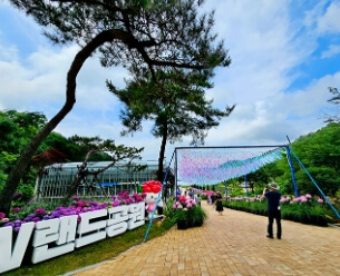 전남 강진 보은산 V랜드 수국길