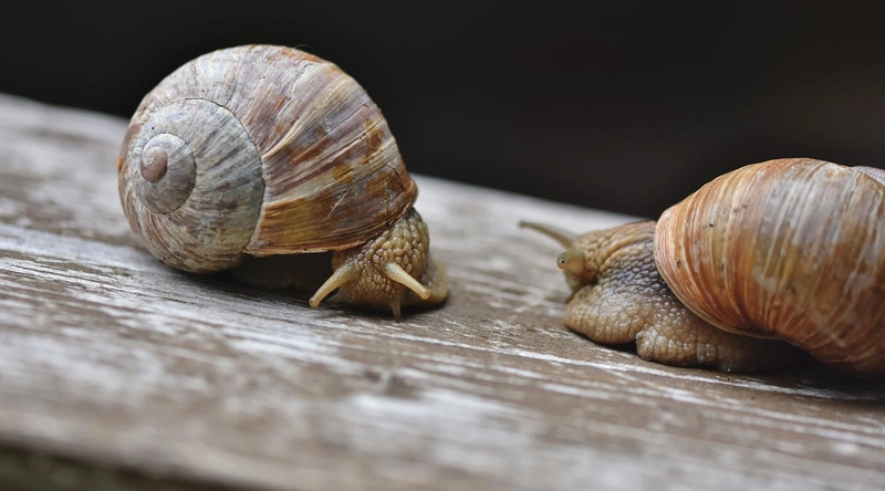 외벽 페인트의 중요성