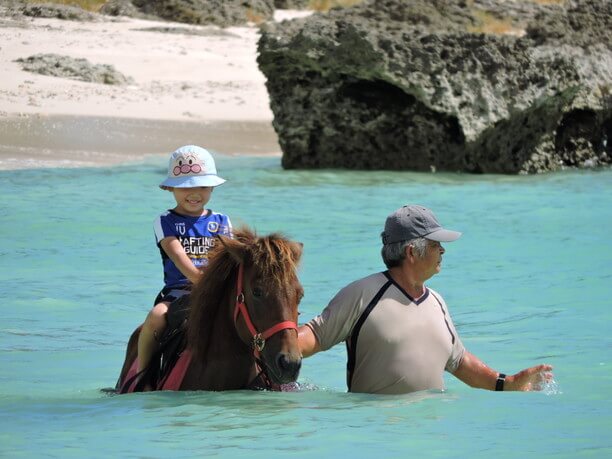 2024년 미야코지마 관광 명소 자유여행 추천 코스