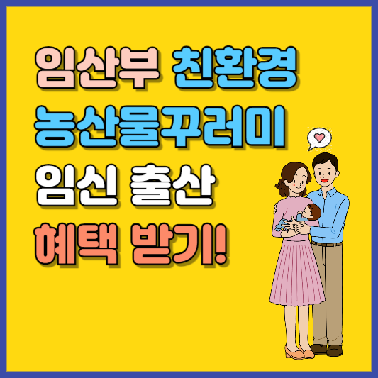 임산부 친환경 농산물꾸러미 신청방법 임신 출산 혜택받기