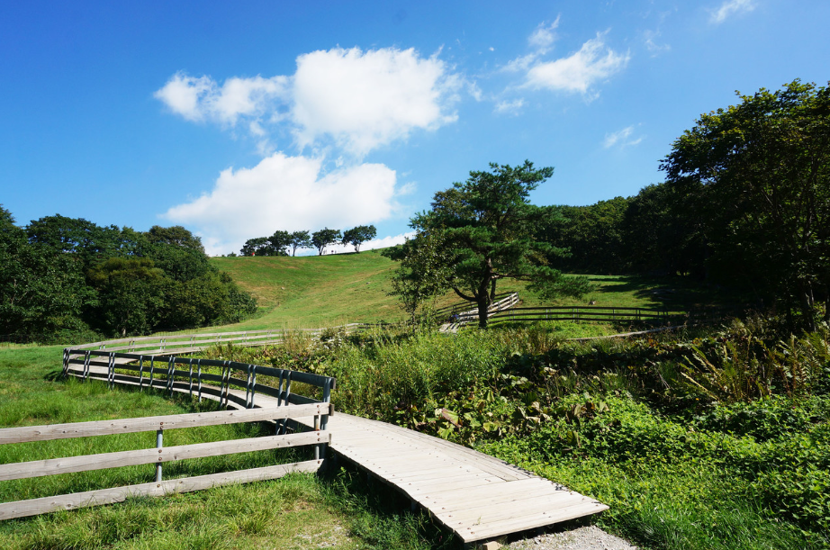 평창 가볼만한곳 베스트10