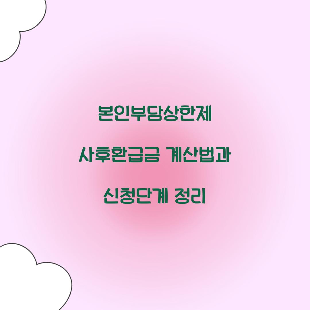 본인부담상한제 사후환급금