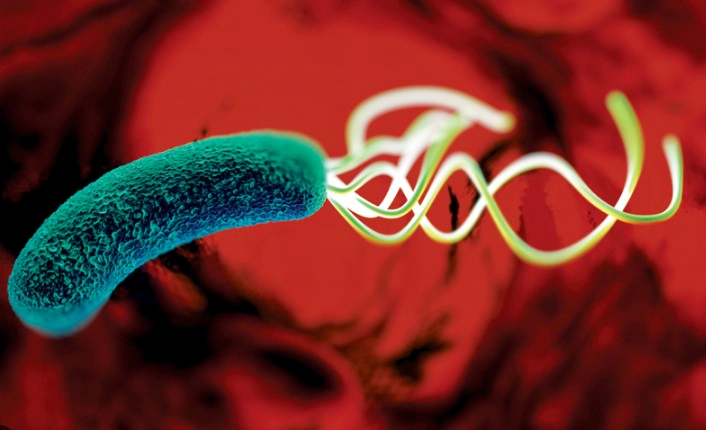 헬리코박터균 증상 8가지 헬리코박터균 전염 검사 제균치료 총정리