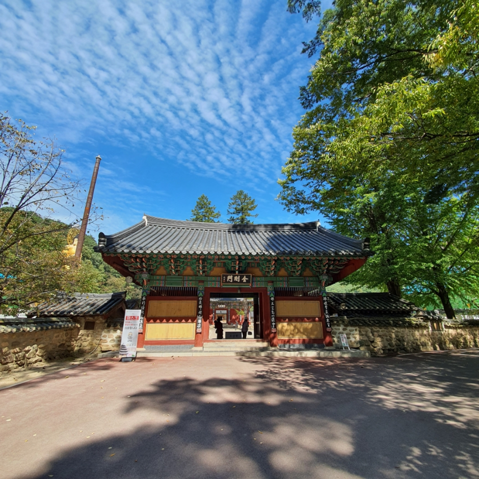 보은 가볼만한곳 베스트10