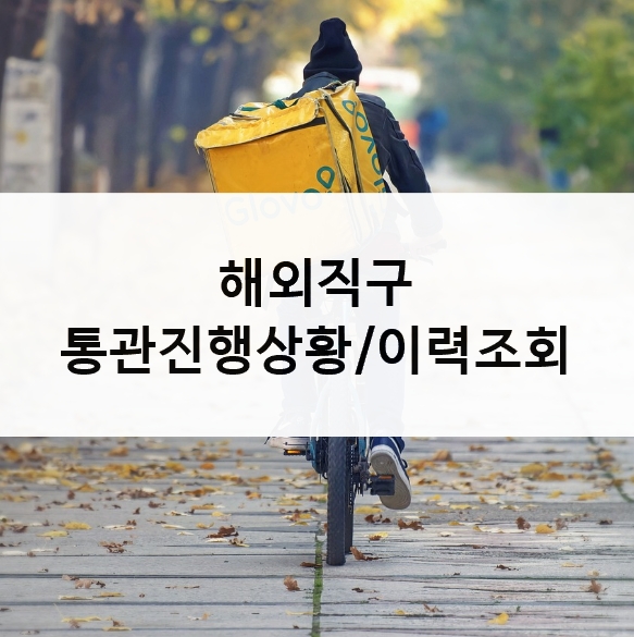 개인통관고유부호통관진행상황이력