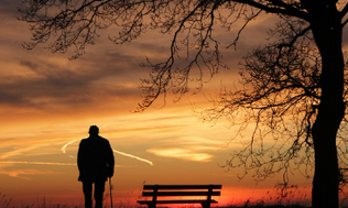 노인일자리-신청자격-신청방법