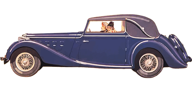 운전면허증 갱신 방법