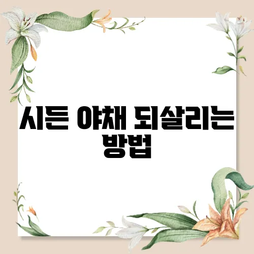 시든 야채 되살리는 방법