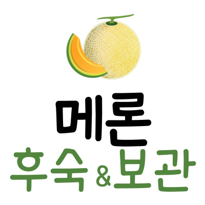 메론 후숙 방법부터 보관법까지! 집에서 달콤하게 먹는 꿀팁