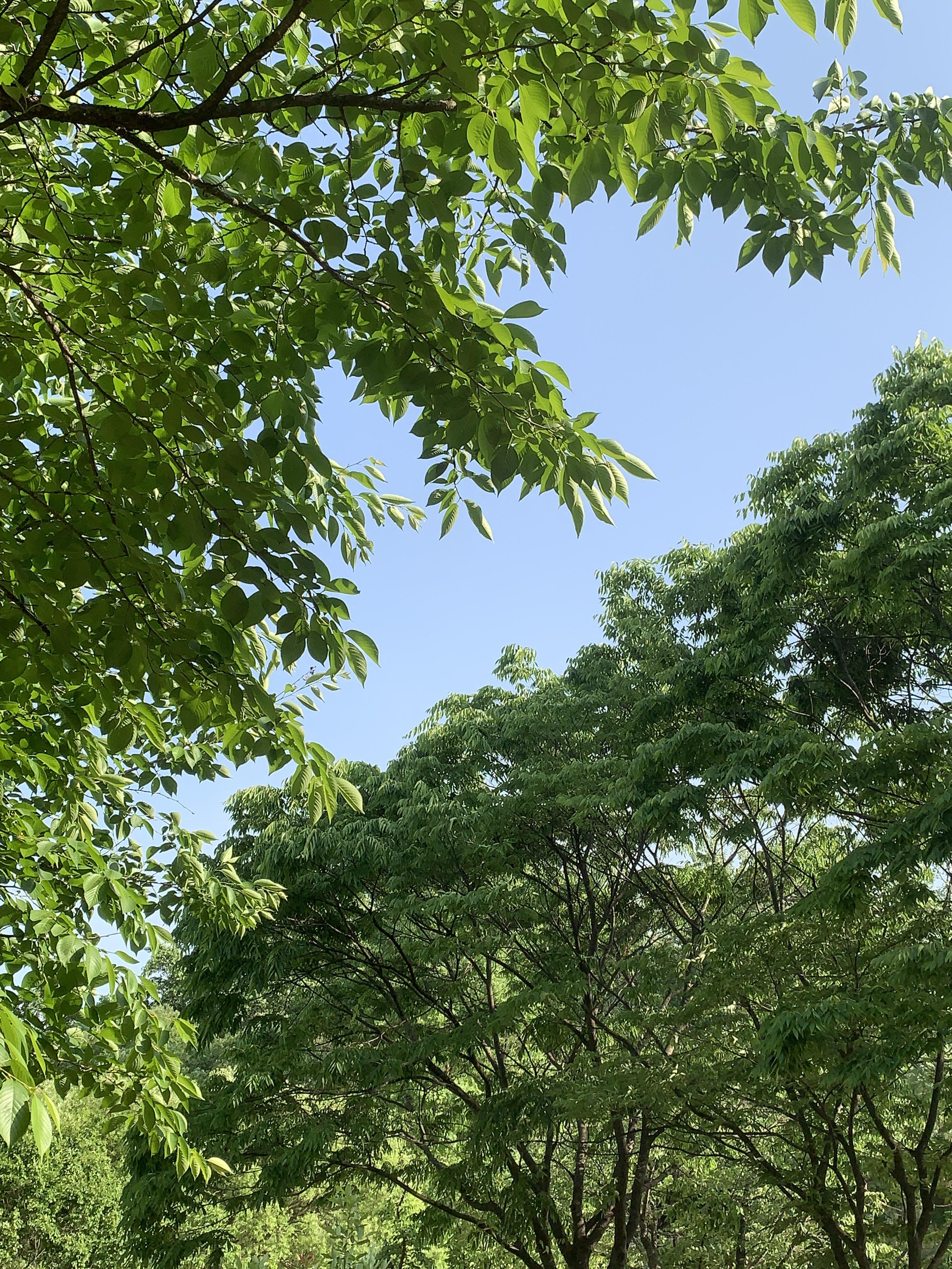 오산&nbsp; 물향기수목원