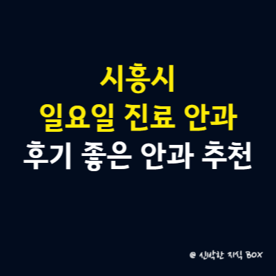 시흥시 일요일 진료 안과 병원, 후기 좋은 안과 병원 추천