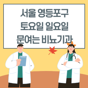 서울 영등포구 토요일 일요일 비뇨기과 진료 병원 리스트