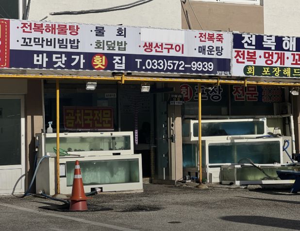 삼척 장호항 각종 수산물 요리 맛집 | 6시 내고향 방송 나온 바닷가횟집