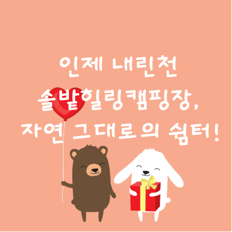 🏕️인제 내린천솔밭힐링캠핑장, 자연 그대로의 쉼터!
