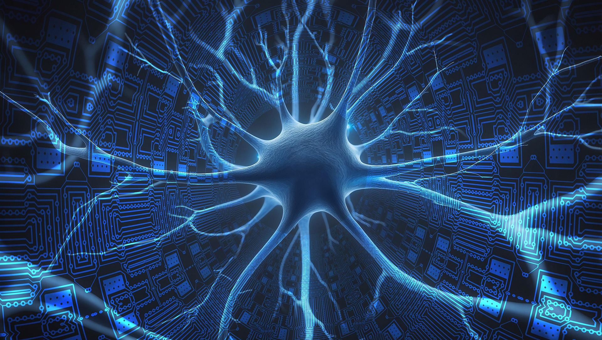 중년 이후 기억력이 예전 같지 않다고 느끼는 이유