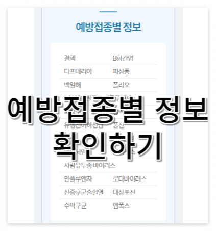 예방접종별 정보 확인
